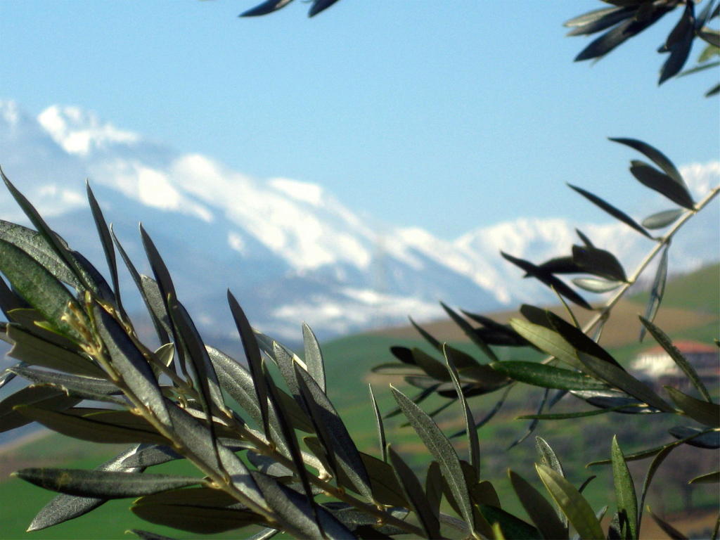 Agriturismo Cignale Penne Extérieur photo