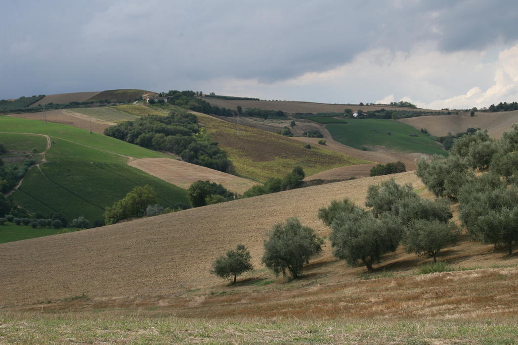 Agriturismo Cignale Penne Extérieur photo