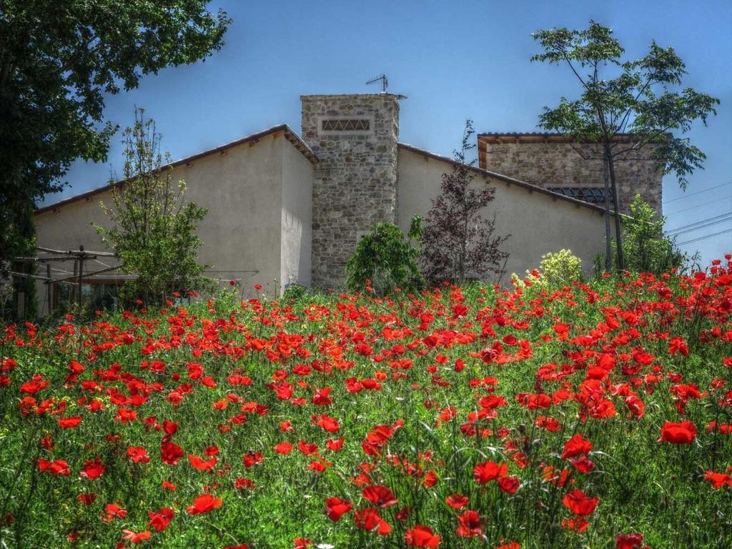 Agriturismo Cignale Penne Extérieur photo