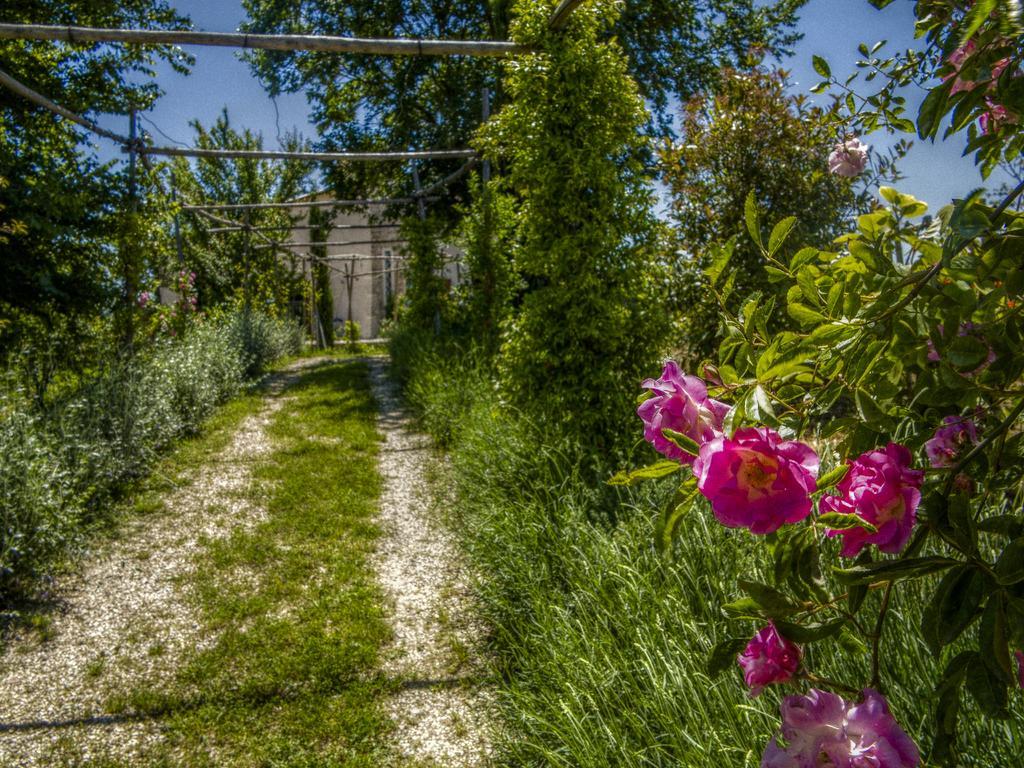 Agriturismo Cignale Penne Extérieur photo