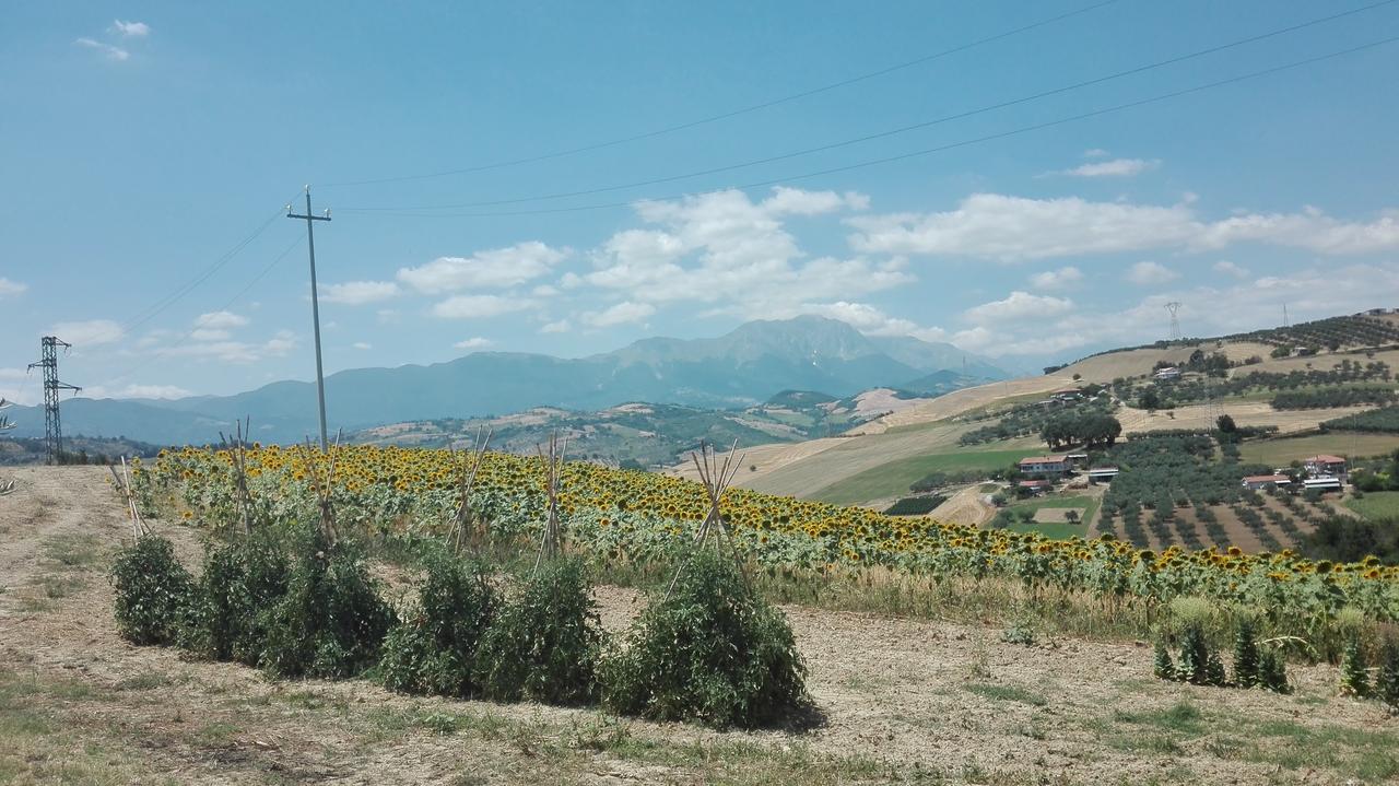 Agriturismo Cignale Penne Extérieur photo